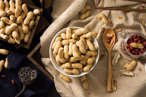 Воспроизведение жизнеспособности экспорта арахиса